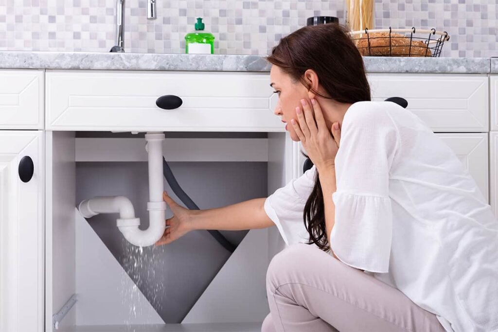 DIY Plumbing Repair vs Professional: When to Call an Expert